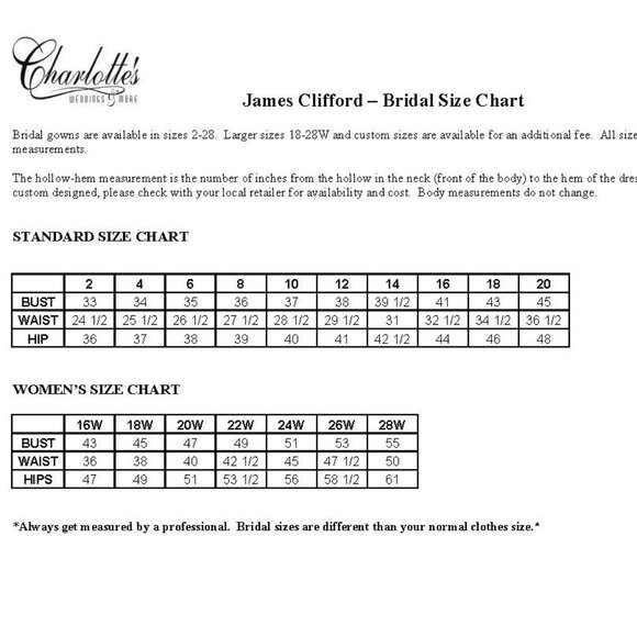 Brand NWT * James Clifford Bridal Gown Size 6 - Picture 7 of 7